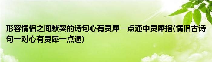 形容情侶之間默契的詩(shī)句心有靈犀一點(diǎn)通中靈犀指(情侶古詩(shī)句一對(duì)心有靈犀一點(diǎn)通)