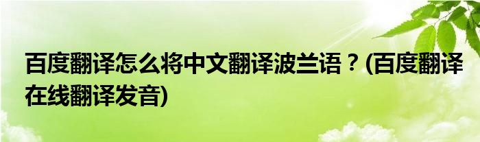 百度翻譯怎么將中文翻譯波蘭語(yǔ)？(百度翻譯在線翻譯發(fā)音)