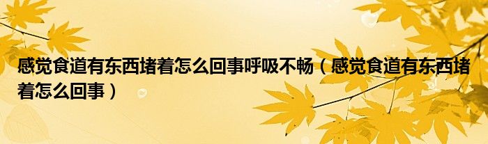 感覺(jué)食道有東西堵著怎么回事呼吸不暢（感覺(jué)食道有東西堵著怎么回事）