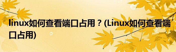 linux如何查看端口占用？(Linux如何查看端口占用)