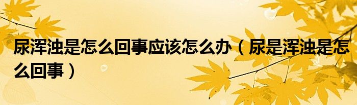 尿渾濁是怎么回事應(yīng)該怎么辦（尿是渾濁是怎么回事）