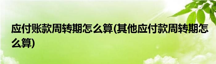 應(yīng)付賬款周轉(zhuǎn)期怎么算(其他應(yīng)付款周轉(zhuǎn)期怎么算)