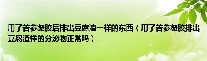 用了苦參凝膠后排出豆腐渣一樣的東西（用了苦參凝膠排出豆腐渣樣的分泌物正常嗎）