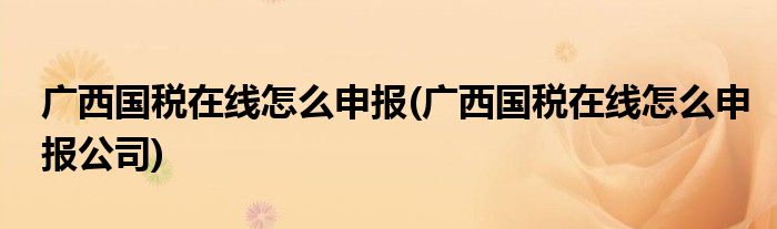 廣西國(guó)稅在線怎么申報(bào)(廣西國(guó)稅在線怎么申報(bào)公司)