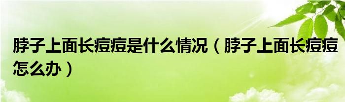 脖子上面長痘痘是什么情況（脖子上面長痘痘怎么辦）