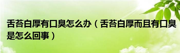 舌苔白厚有口臭怎么辦（舌苔白厚而且有口臭是怎么回事）