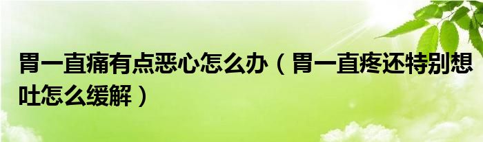 胃一直痛有點(diǎn)惡心怎么辦（胃一直疼還特別想吐怎么緩解）