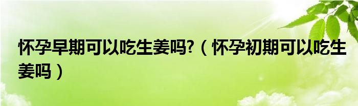 懷孕早期可以吃生姜嗎?（懷孕初期可以吃生姜嗎）