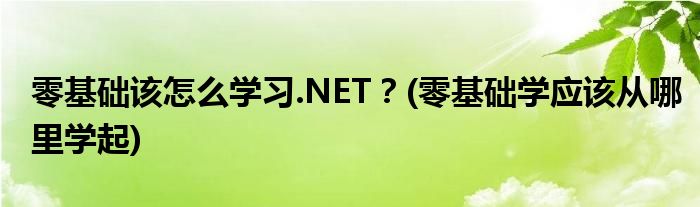 零基礎(chǔ)該怎么學(xué)習(xí).NET？(零基礎(chǔ)學(xué)應(yīng)該從哪里學(xué)起)