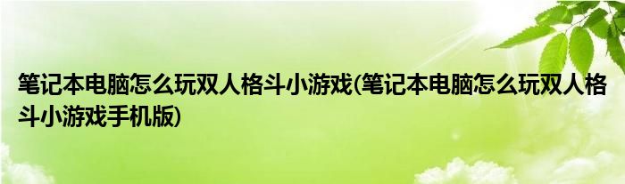 筆記本電腦怎么玩雙人格斗小游戲(筆記本電腦怎么玩雙人格斗小游戲手機(jī)版)