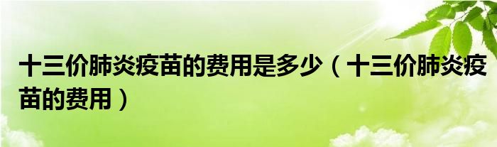 十三價(jià)肺炎疫苗的費(fèi)用是多少（十三價(jià)肺炎疫苗的費(fèi)用）