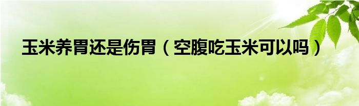 玉米養(yǎng)胃還是傷胃（空腹吃玉米可以嗎）