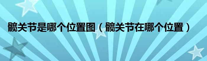 髖關(guān)節(jié)是哪個(gè)位置圖（髖關(guān)節(jié)在哪個(gè)位置）