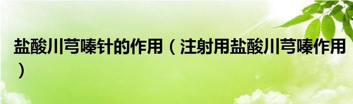 鹽酸川芎嗪針的作用（注射用鹽酸川芎嗪作用）