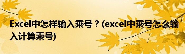 Excel中怎樣輸入乘號？(excel中乘號怎么輸入計算乘號)