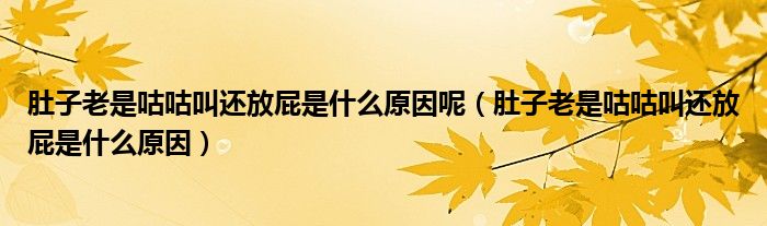 肚子老是咕咕叫還放屁是什么原因呢（肚子老是咕咕叫還放屁是什么原因）