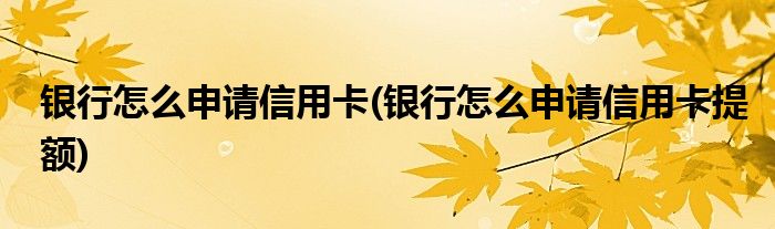 銀行怎么申請信用卡(銀行怎么申請信用卡提額)