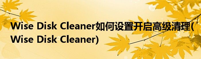 Wise Disk Cleaner如何設(shè)置開(kāi)啟高級(jí)清理(Wise Disk Cleaner)