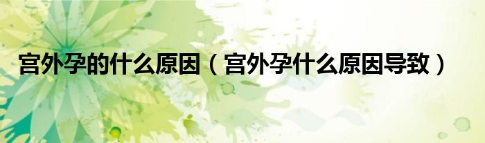 宮外孕的什么原因（宮外孕什么原因?qū)е拢?class='thumb lazy' /></a>
		    <header>
		<h2><a  href=