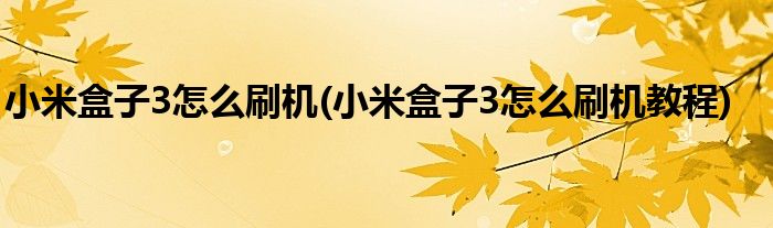 小米盒子3怎么刷機(jī)(小米盒子3怎么刷機(jī)教程)