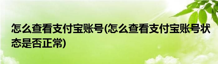 怎么查看支付寶賬號(hào)(怎么查看支付寶賬號(hào)狀態(tài)是否正常)