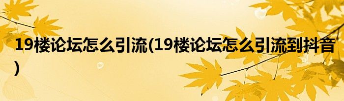 19樓論壇怎么引流(19樓論壇怎么引流到抖音)