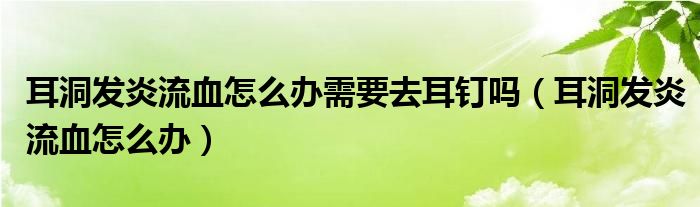 耳洞發(fā)炎流血怎么辦需要去耳釘嗎（耳洞發(fā)炎流血怎么辦）