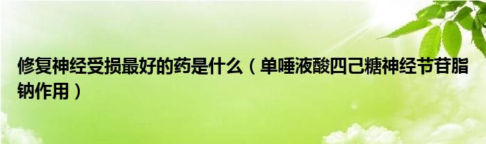 修復(fù)神經(jīng)受損最好的藥是什么（單唾液酸四己糖神經(jīng)節(jié)苷脂鈉作用）