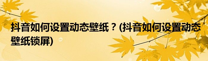 抖音如何設(shè)置動態(tài)壁紙？(抖音如何設(shè)置動態(tài)壁紙鎖屏)