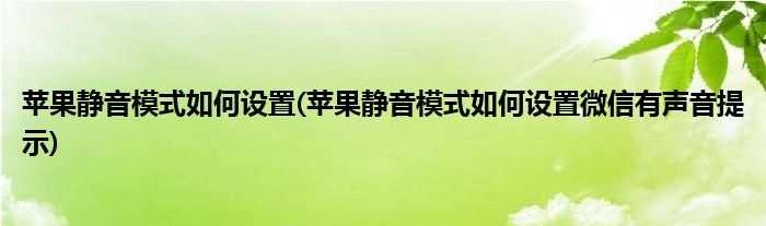 蘋果靜音模式如何設(shè)置(蘋果靜音模式如何設(shè)置微信有聲音提示)