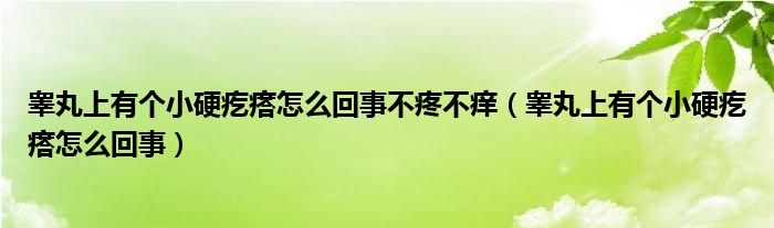 睪丸上有個(gè)小硬疙瘩怎么回事不疼不癢（睪丸上有個(gè)小硬疙瘩怎么回事）