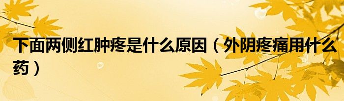 下面兩側(cè)紅腫疼是什么原因（外陰疼痛用什么藥）