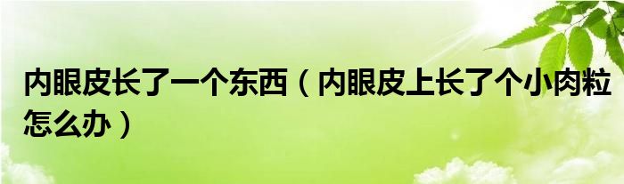 內(nèi)眼皮長(zhǎng)了一個(gè)東西（內(nèi)眼皮上長(zhǎng)了個(gè)小肉粒怎么辦）