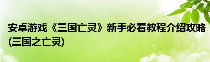 安卓游戲《三國(guó)亡靈》新手必看教程介紹攻略(三國(guó)之亡靈)