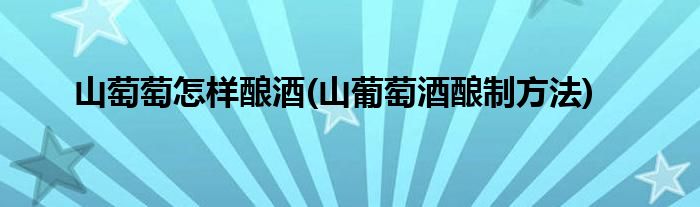 山萄萄怎樣釀酒(山葡萄酒釀制方法)