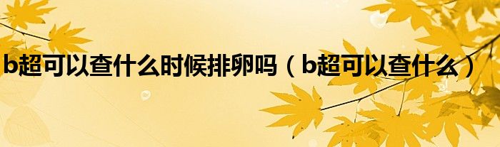 b超可以查什么時候排卵嗎（b超可以查什么）