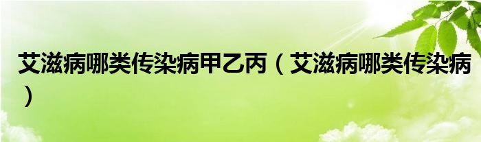 艾滋病哪類傳染病甲乙丙（艾滋病哪類傳染病）