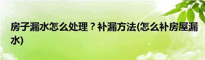 房子漏水怎么處理？補(bǔ)漏方法(怎么補(bǔ)房屋漏水)