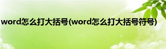 word怎么打大括號(word怎么打大括號符號)