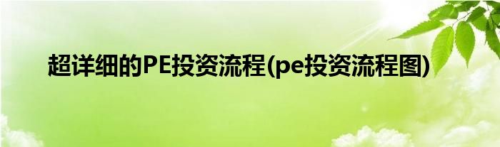 超詳細(xì)的PE投資流程(pe投資流程圖)