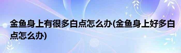 金魚身上有很多白點(diǎn)怎么辦(金魚身上好多白點(diǎn)怎么辦)