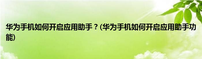 華為手機(jī)如何開(kāi)啟應(yīng)用助手？(華為手機(jī)如何開(kāi)啟應(yīng)用助手功能)