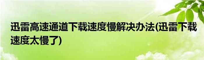 迅雷高速通道下載速度慢解決辦法(迅雷下載速度太慢了)