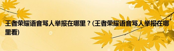 王者榮耀語(yǔ)音罵人舉報(bào)在哪里？(王者榮耀語(yǔ)音罵人舉報(bào)在哪里看)