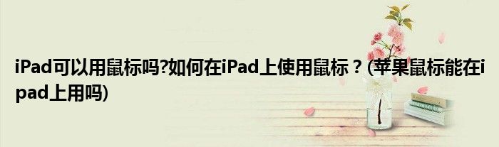 iPad可以用鼠標嗎?如何在iPad上使用鼠標？(蘋果鼠標能在ipad上用嗎)