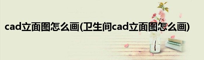 cad立面圖怎么畫(衛(wèi)生間cad立面圖怎么畫)