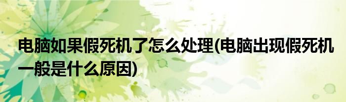 電腦如果假死機了怎么處理(電腦出現(xiàn)假死機一般是什么原因)