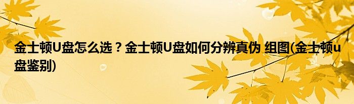 金士頓U盤怎么選？金士頓U盤如何分辨真?zhèn)?組圖(金士頓u盤鑒別)