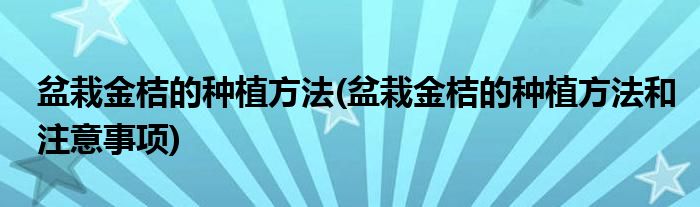 盆栽金桔的種植方法(盆栽金桔的種植方法和注意事項(xiàng))