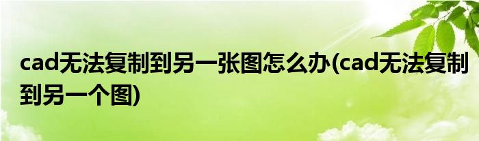 cad無(wú)法復(fù)制到另一張圖怎么辦(cad無(wú)法復(fù)制到另一個(gè)圖)